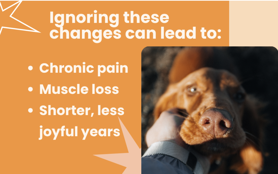 our dear free certified team takes the detective work seriously